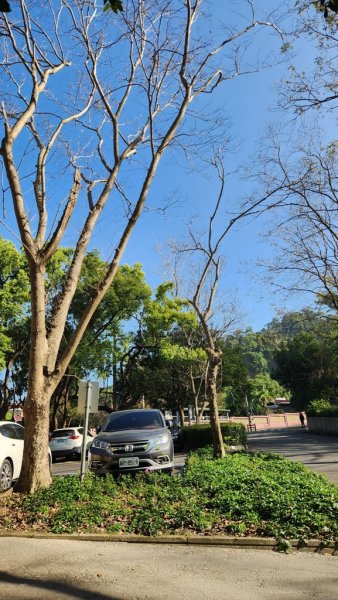 【田中】田中森林步道連走麒麟山2722568