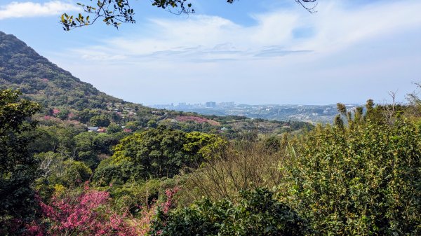 天元宮,楓樹湖,北新庄,淡水老街2430314