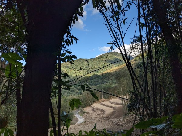 魯培山南插天山2357497