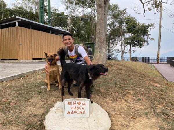 貓囒山.涵碧步道.金龍山步道【國旅首選日月潭微秘境之旅】2448777
