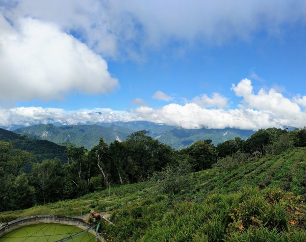 太麻里山(小百岳#94)《金針花季末期》1467637