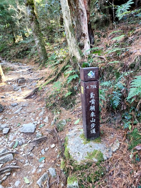 小百岳集起來-稍來山2181426