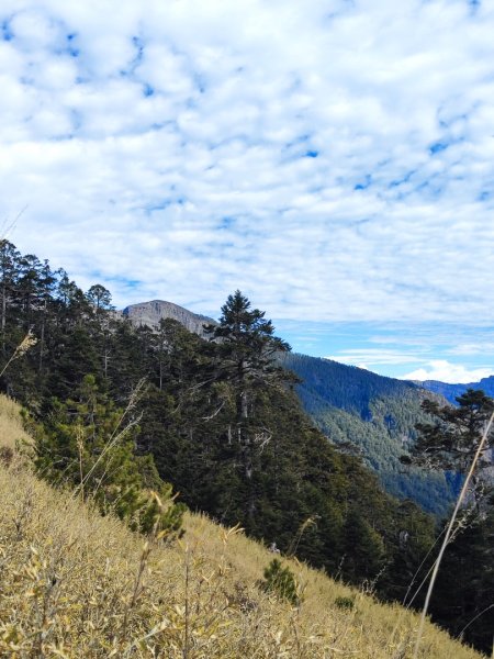 單攻志佳陽2725314