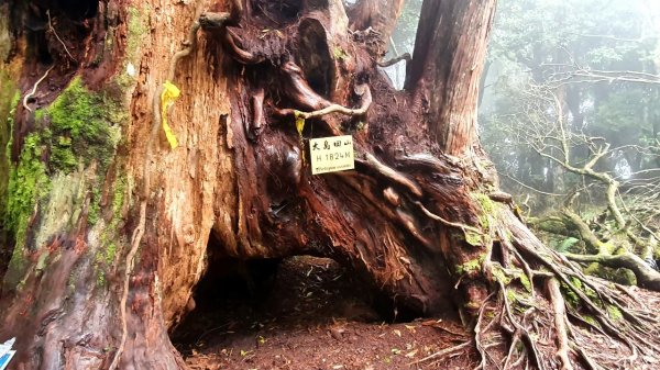 【中級山縱走】高島縱走（高台山，小島田山，中島田山，大島田山）2740971