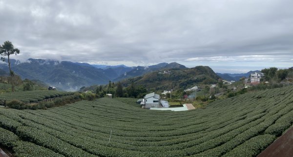 20250119頂石棹步道群2716372