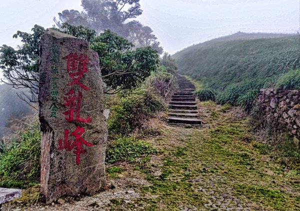 太麻里山-小百岳-編號0941407480