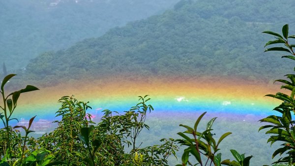 111.10.22 金面山-大崙尾頭山-碧山-開眼山-鯉魚山-忠勇山O型緃走1885071