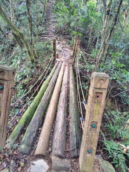 鳳鳴古道 鳳鳴山 南隘勇（南長城）古道 三湖山 八達嶺（龍骨）古道 綠色古道 延平古道2975219