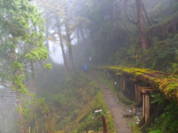 全球最美小路：見晴懷古步道107587