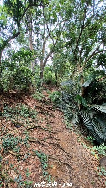 【南投草屯】蝴蝶紛飛可惜抵擋不了低海拔蚊子攻擊。 虎山步道x中興新村2856645