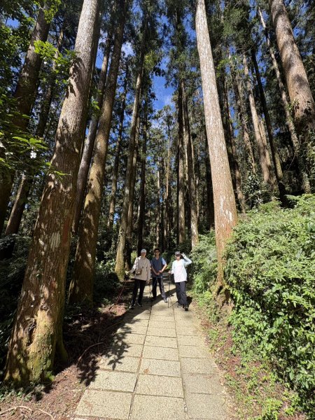20251004嘉義奮起湖大凍山步道(頂湖)2914901