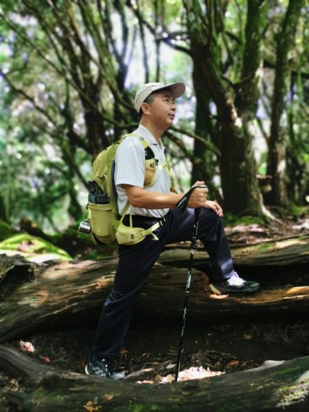 拉拉山巨木步道-塔曼山步道_202407022569702