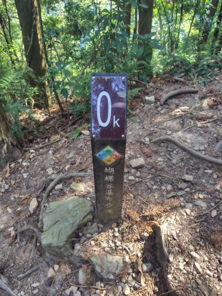 唐麻丹山 蝴蝶谷2918966