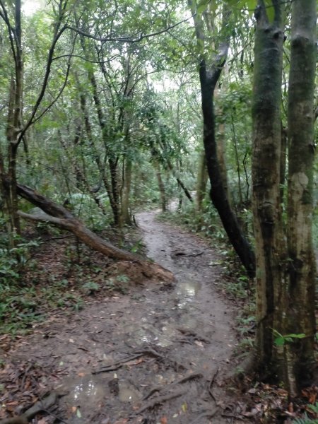 壹北大縱走第四段：風櫃嘴至大湖公園2809585