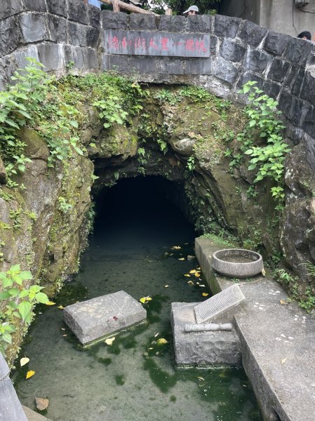 【大棟山系】百年大榕樹2858106