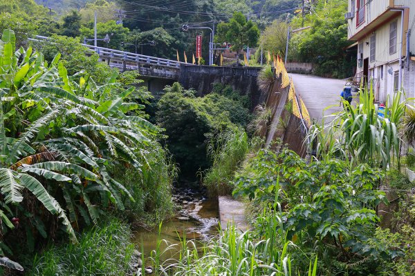 樟之細路（二寮坑至獅潭）725933