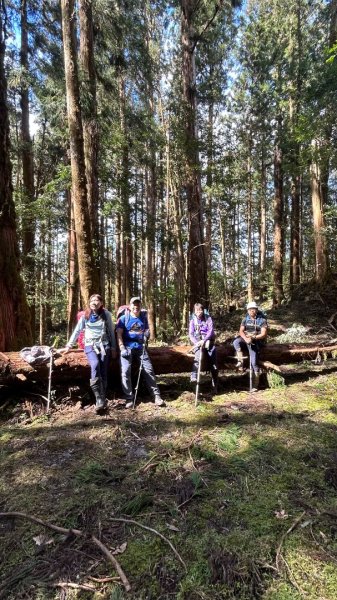 大同舊太平山神社給給池日向台2748243