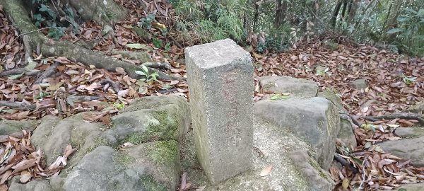 2024/03/30-赤柯山+東獅頭山步道2468222