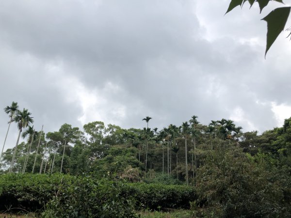 台灣小百岳No.048 橫山1102113