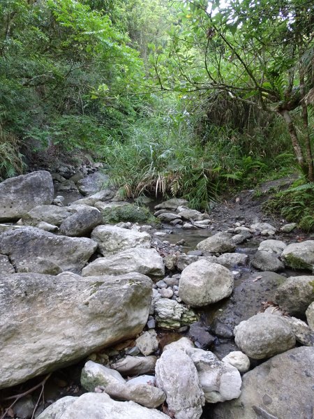 2021年5月14~16日花蓮小百岳2座-萬人山和八里灣山之遇見網紅聖犬及景點美食三角點之旅1389800