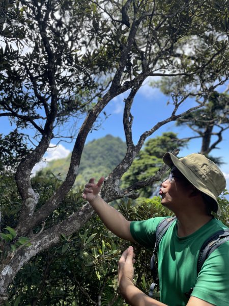 【中級山】夫婦山漫遊（夫山、婦山、雪霧鬧山）1912710