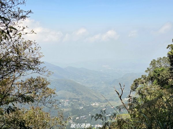 【南投鹿谷】溪頭天文台登山步道3037364