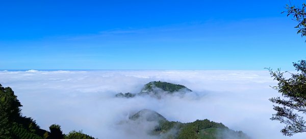 溪頭~金柑樹山/嶺頭山/忘憂森林O形走（沿路竟是耶穌光）1884177