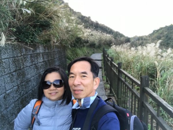 無耳茶壺山447867