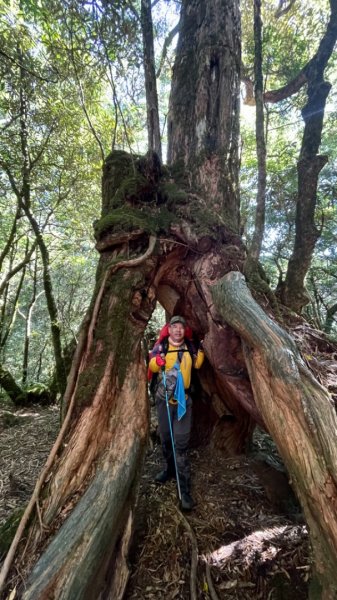 塔魔巴2天1夜來回/復興尖-四稜溫泉2357252