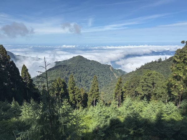 船型山林道賞雲海、烏石坑山、2432峰 山景海景一次到位2929283