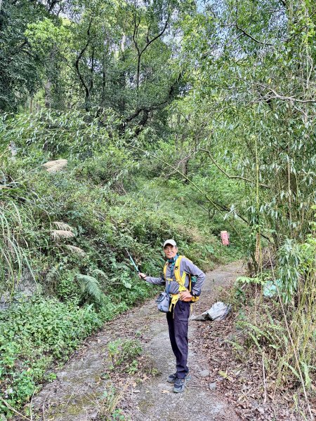 完登新南橫三星-馬馬宇頓山   2026.3.273027520