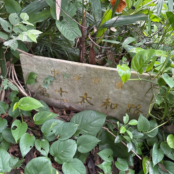 劍潭山+老地方觀機平台2922605