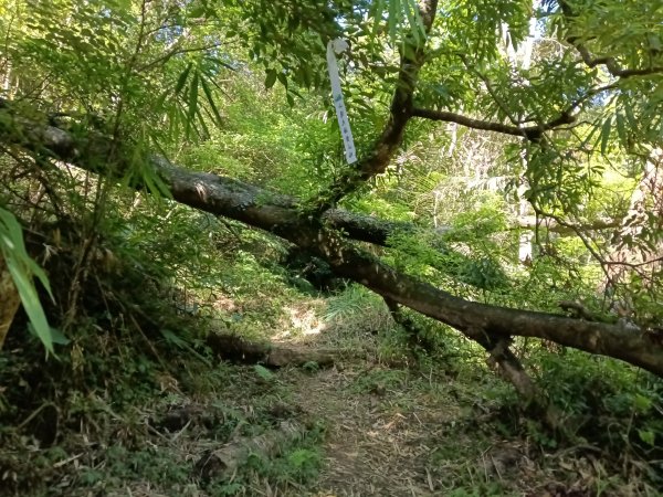 汐止區小溪瀑布+車坪寮土地公稜線2890138