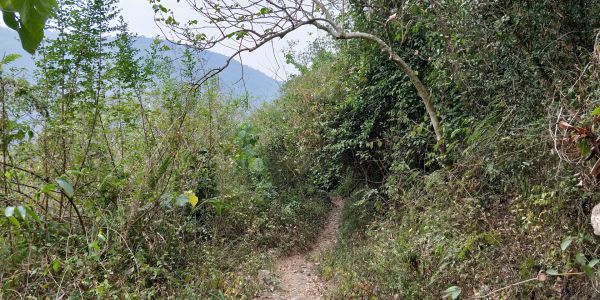 力里山登山步道272887