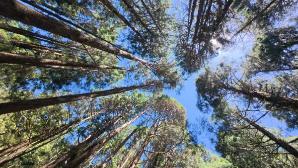 太平之旅 三星山/翠峰湖/見晴2873341