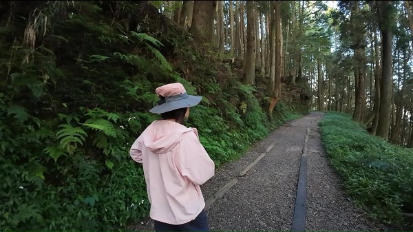 嘉義-特富野古道3120551