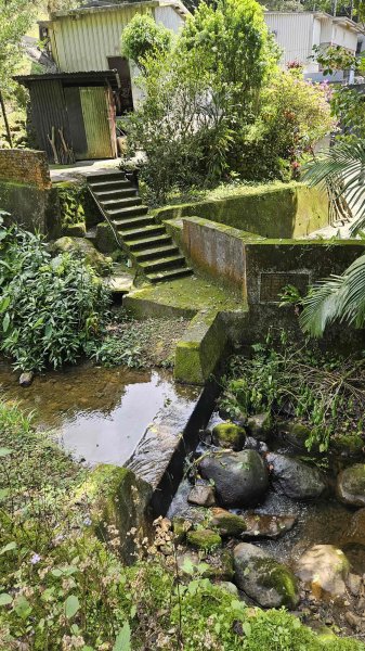 20260316艋舺崙古道-新路尾山-大竹林山3018622