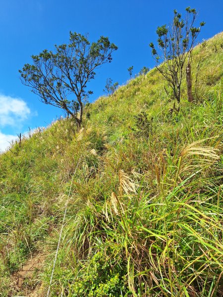 礁溪烘爐地山202509282900332