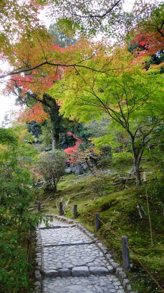 日本京都嵐山652042