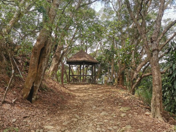 田中森林登山步道-依山稜線而建且景觀良好1048120