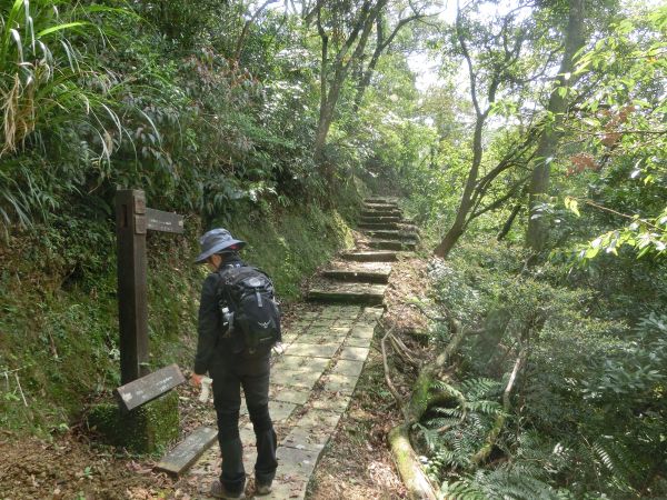 平湖森林步道．內平林山109375