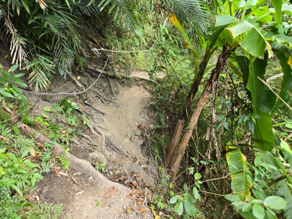 女仍山（小百岳）2752501