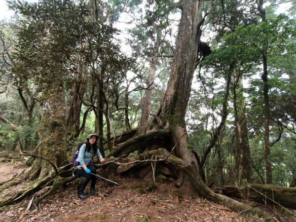 1130511夫拉縱走2500169