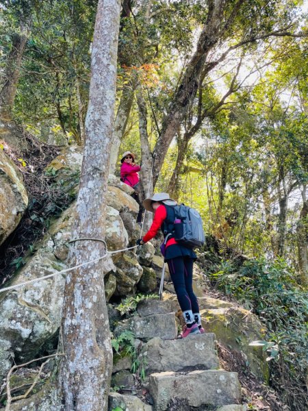 1140319仙山-仙山南峰2738224