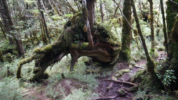 三星池登山健行趣1789867