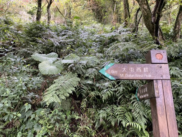  【台北登山一日十連峰】陽明山東西大縱走1075810