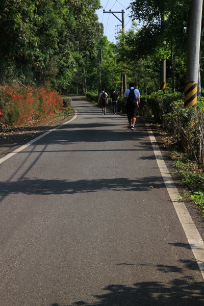 花蓮吉安楓林步道202104021409369