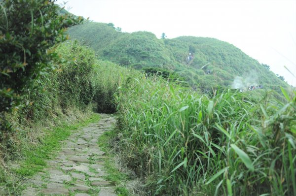 七星山主峰東峰592811