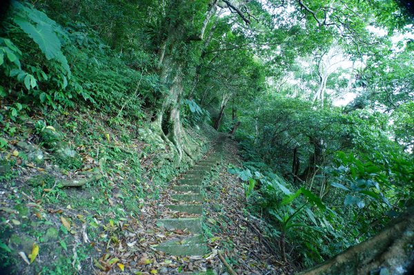 桃園 復興 牌子山、金平山2952198