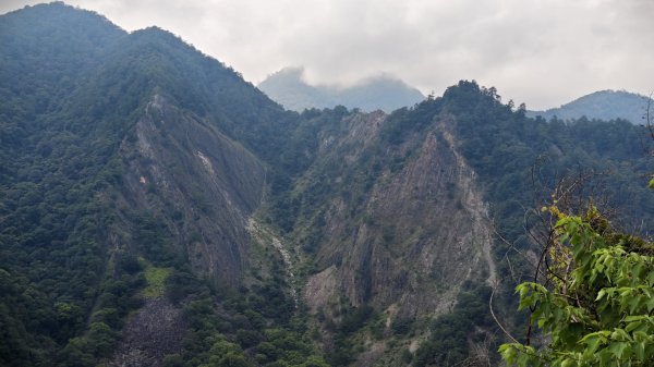【谷關七雄】新山馬崙 - 松香裡的時光迴廊：聽山林講述歲月的故事3094013